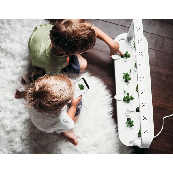 Click-and-Grow-Smart-Garden-9-chytry-kvetinac-9ks-kapsli-se-seminky-bily