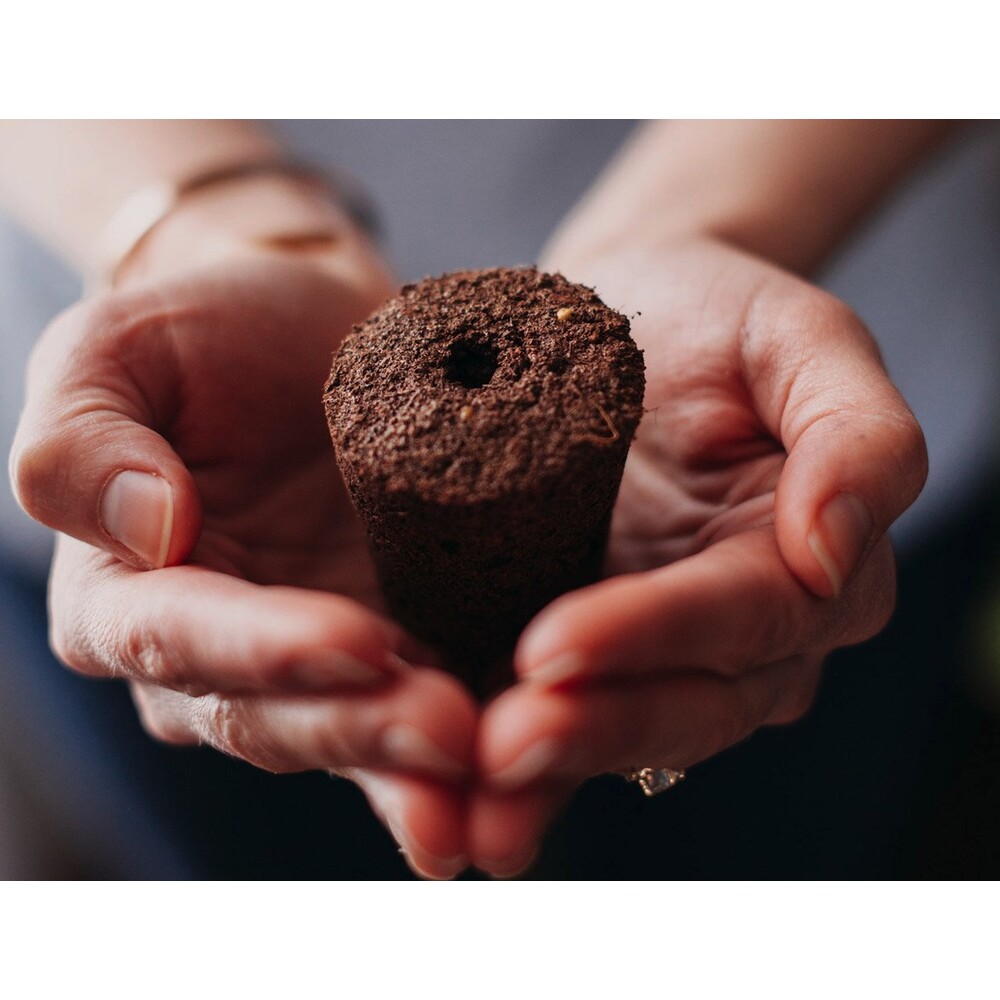 Click-and-Grow-Smart-Garden-9-chytry-kvetinac-9ks-kapsli-se-seminky-bily