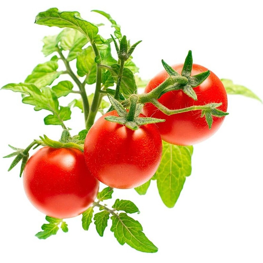 Click-and-Grow-mini-rajcata-kapsle-se-seminky-a-substratem-3ks