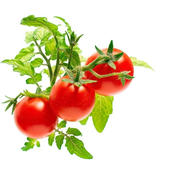 Click-and-Grow-mini-rajcata-kapsle-se-seminky-a-substratem-3ks