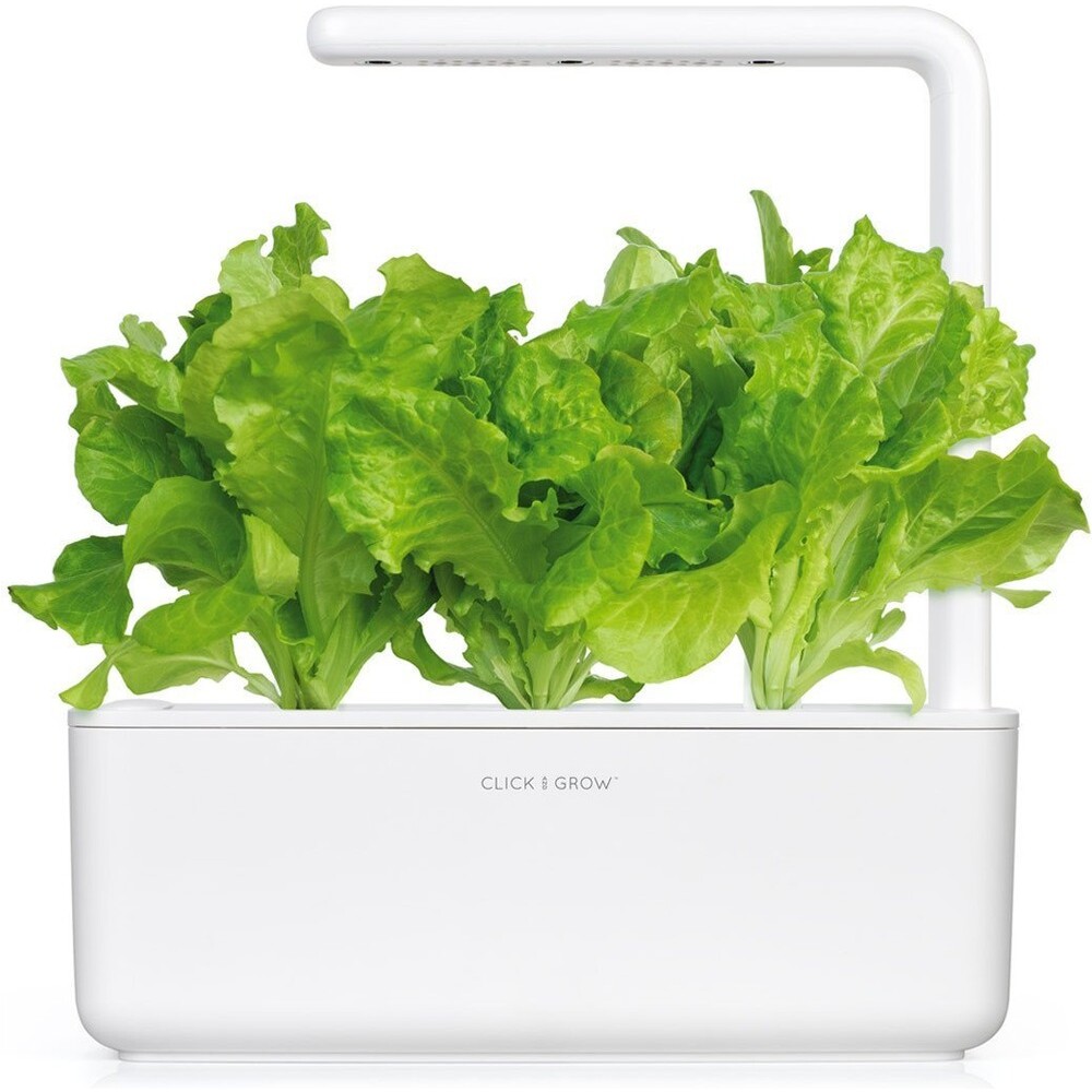 Click-and-Grow-zeleny-salat-kapsle-se-seminky-a-substratem-3ks