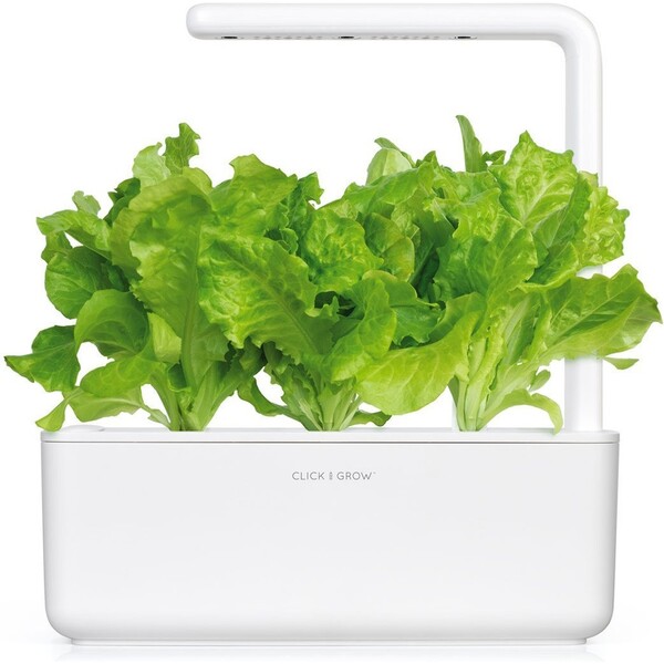 Click-and-Grow-zeleny-salat-kapsle-se-seminky-a-substratem-3ks