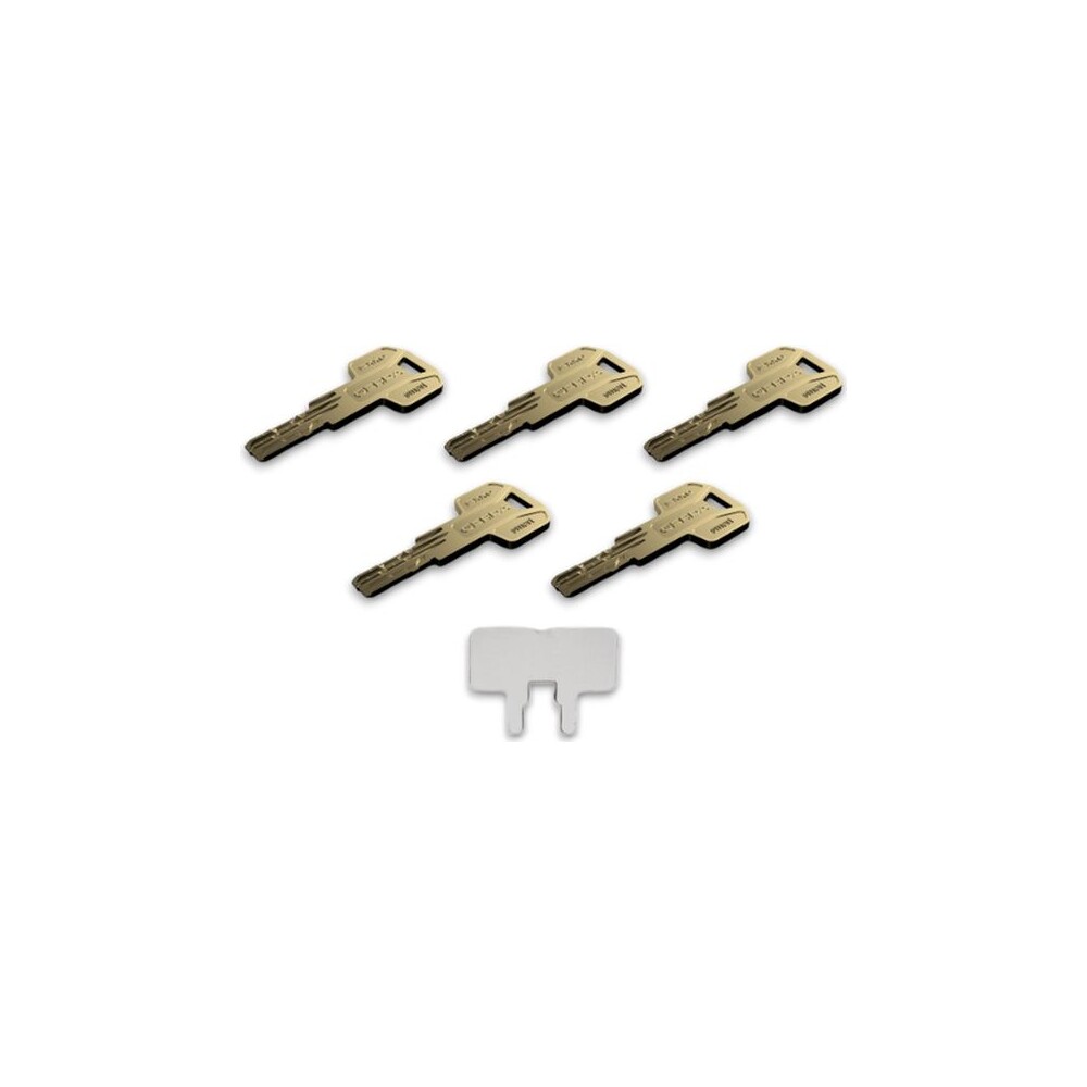 tedee-evropska-modularni-vlozka-GERDA-EXXO-SMART-31-62-mm-31-62-mm-stribrna