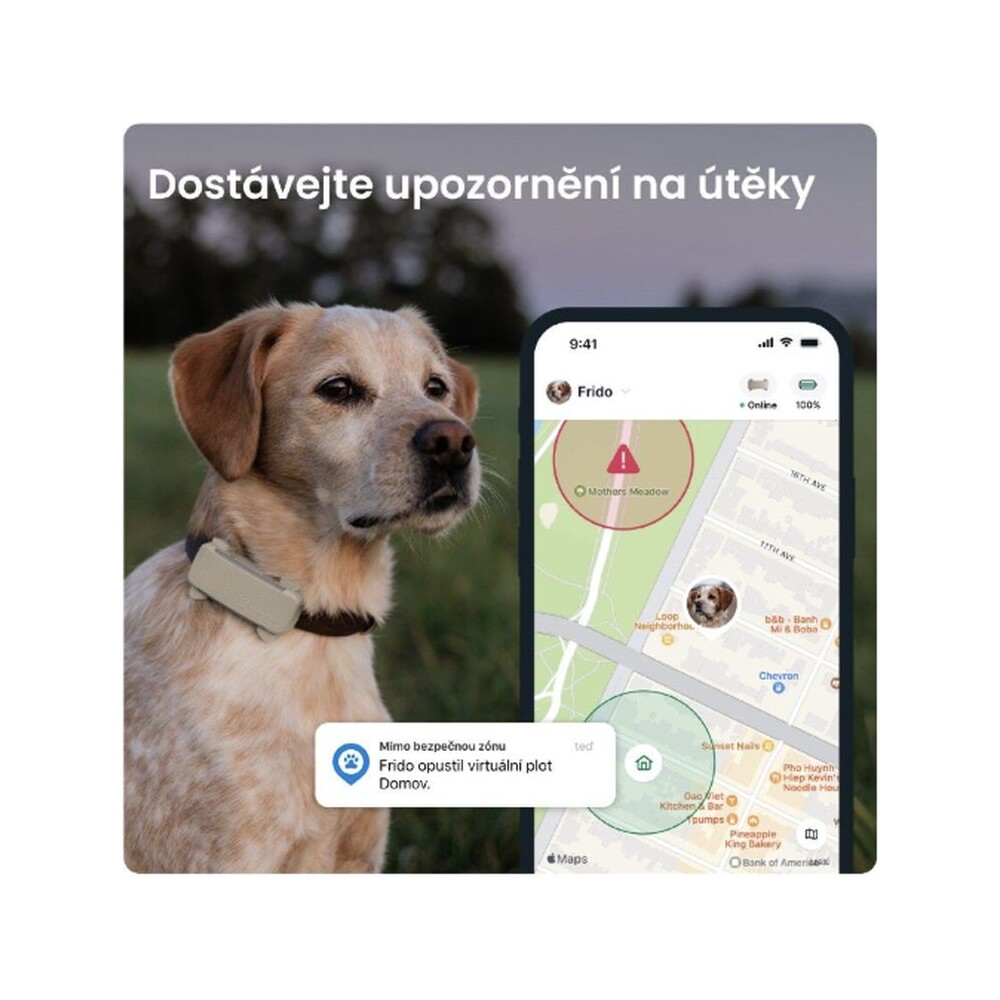 Tractive-GPS-DOG-6-lokator-polohy-a-aktivity-pro-psy-hnedy