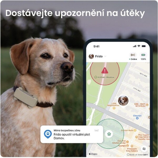Tractive-GPS-DOG-6-lokator-polohy-a-aktivity-pro-psy-hnedy