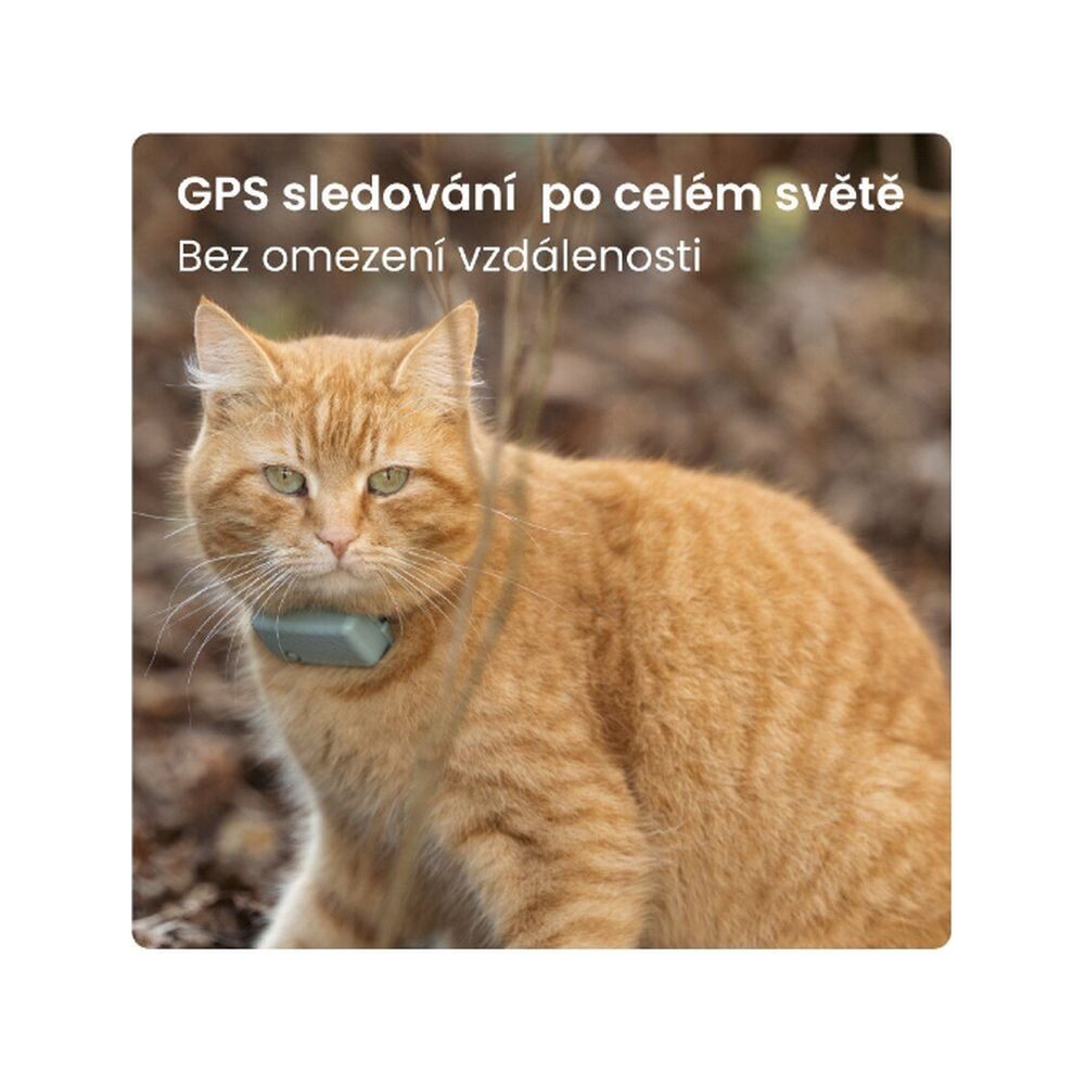 Tractive-GPS-CAT-Mini-tracker-polohy-a-aktivity-pro-kocky-mentolovy