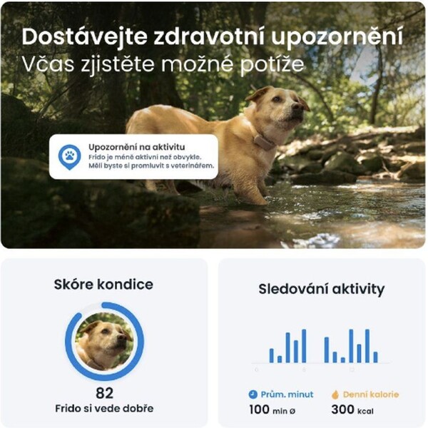 Tractive-GPS-DOG-6-lokator-polohy-a-aktivity-pro-psy-hnedy
