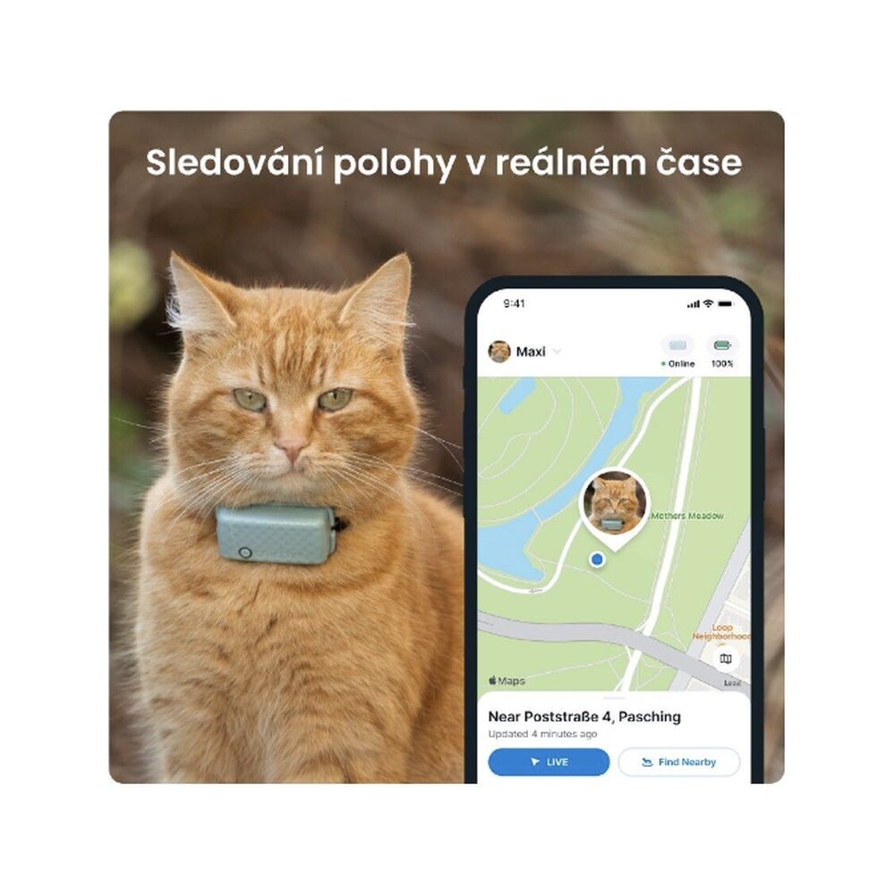 Tractive-GPS-CAT-Mini-tracker-polohy-a-aktivity-pro-kocky-mentolovy