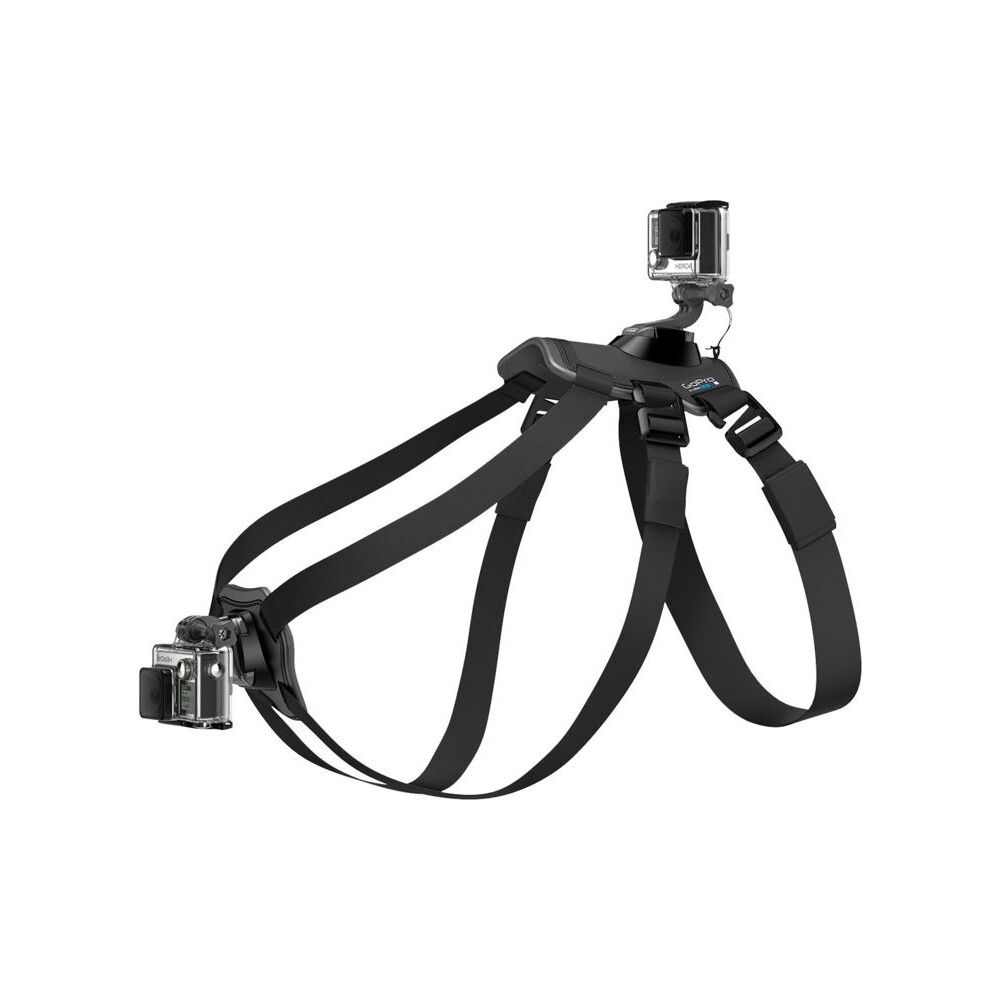 GoPro-Fetch-postroj-pro-psy