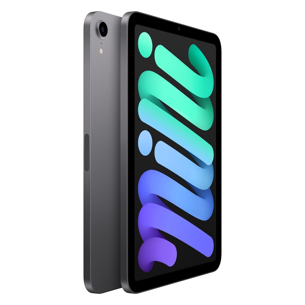 Apple-iPad-mini-64GB-Wi-Fi-vesmirne-sedy