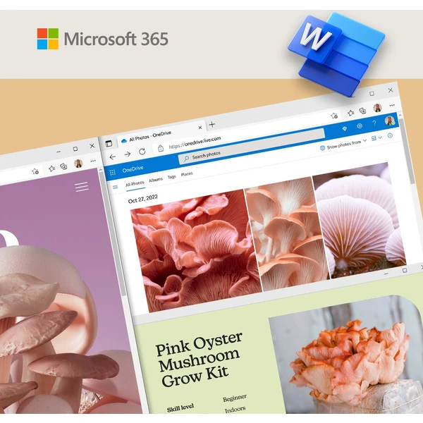 Microsoft 365 Business Standard Mac/Win CZ předplatné na 1 rok - Software - Obrázek BMXYF00101