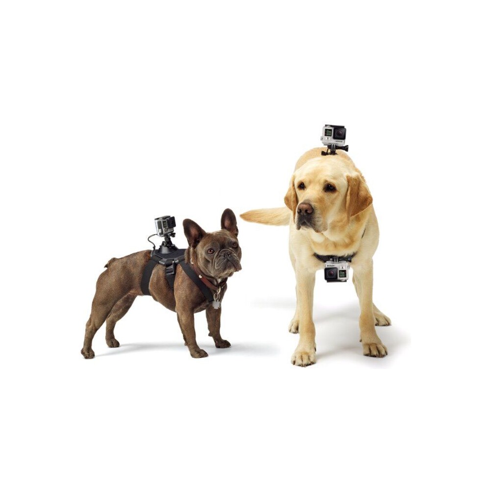 GoPro-Fetch-postroj-pro-psy