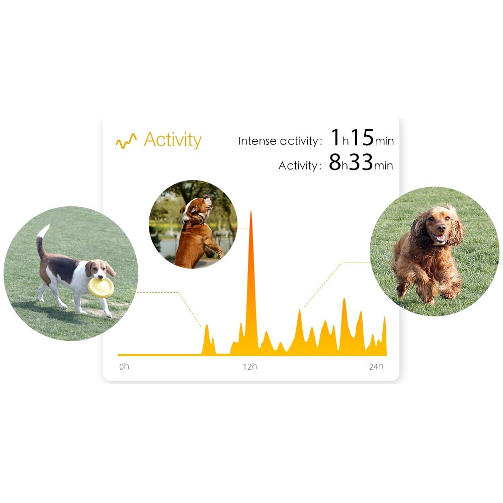 PetKit-P2-monitor-aktivity-pro-psy-a-kocky-cerveny
