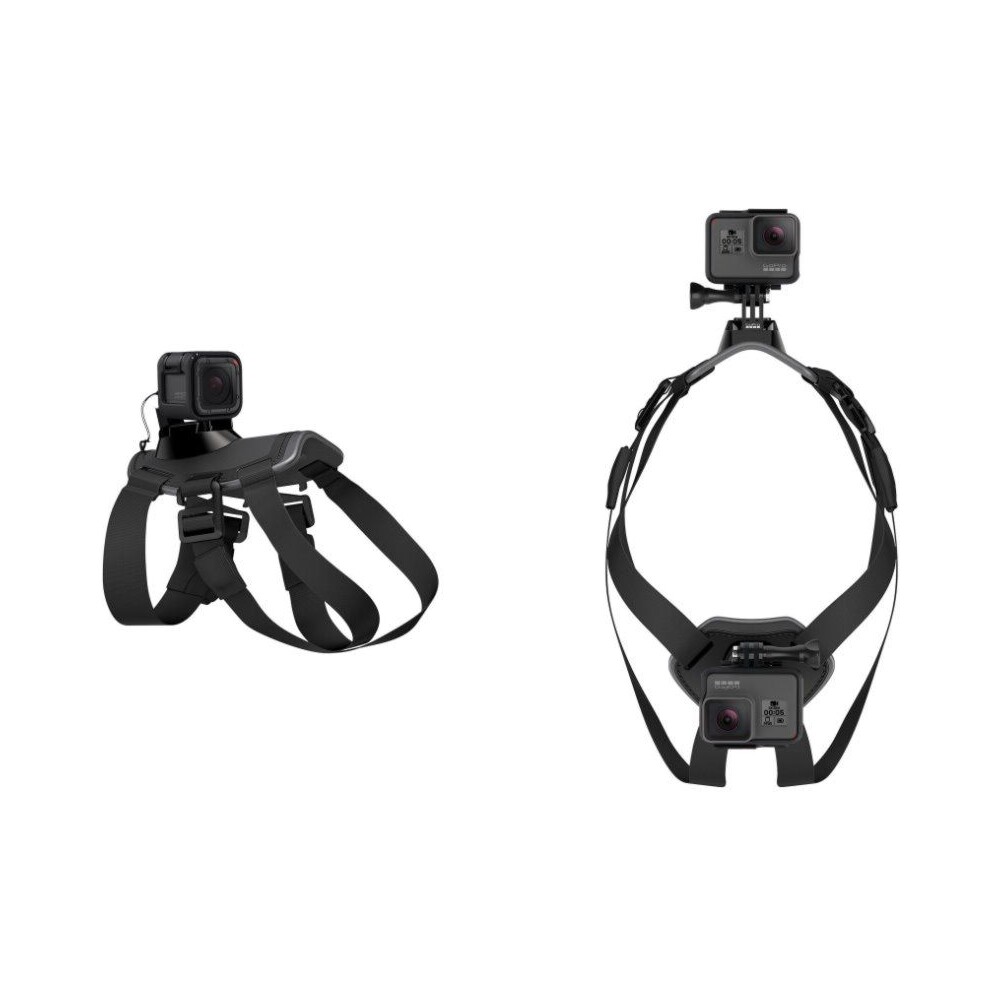 GoPro-Fetch-postroj-pro-psy