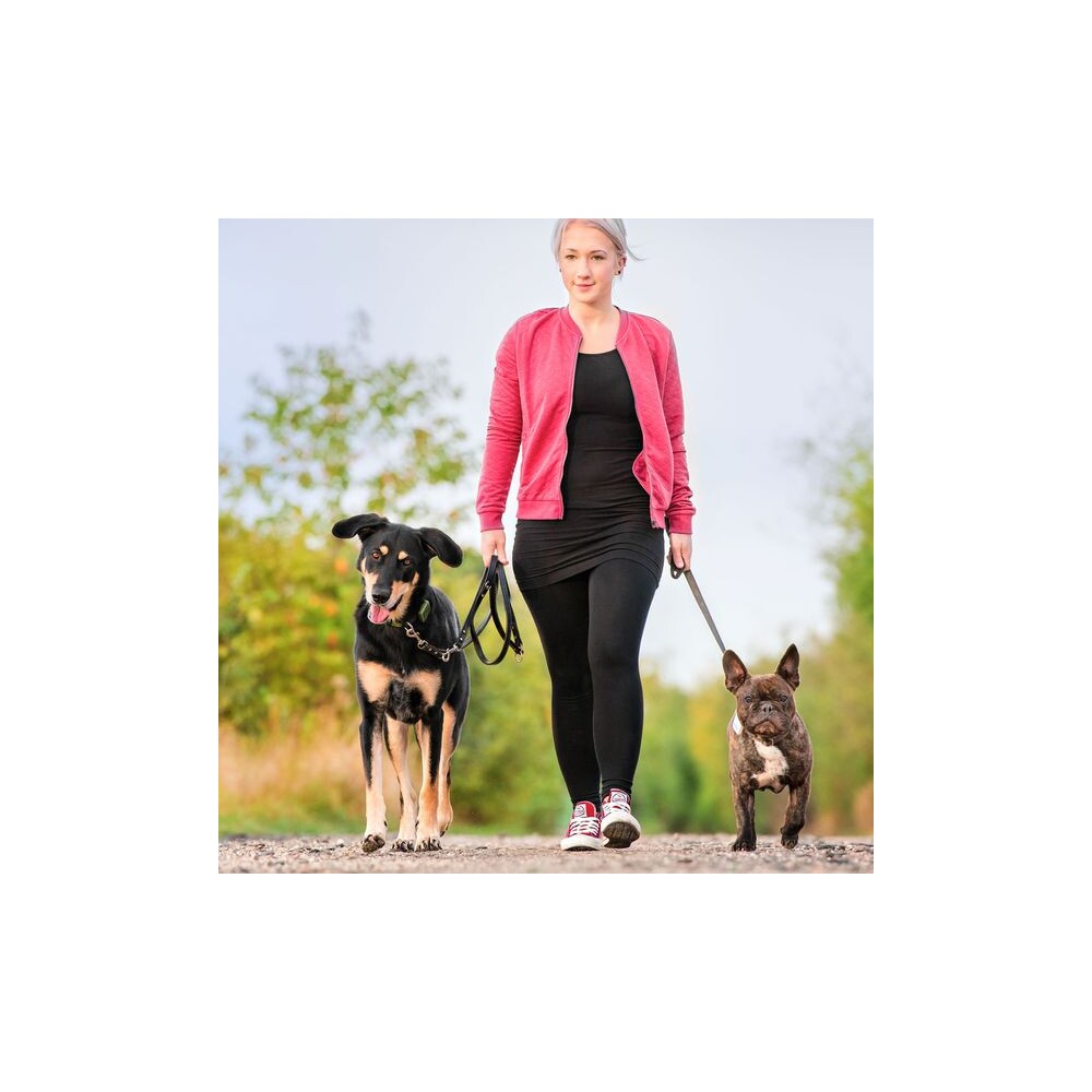 Tractive-GPS-Tracker-pro-domaci-mazlicky