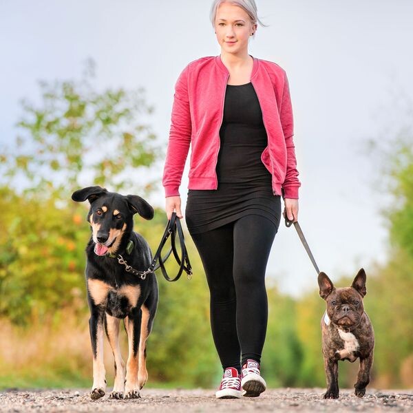 Tractive-GPS-Tracker-pro-domaci-mazlicky