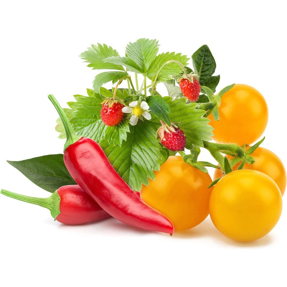 Click-and-Grow-Mix-ovoce-a-zeleniny