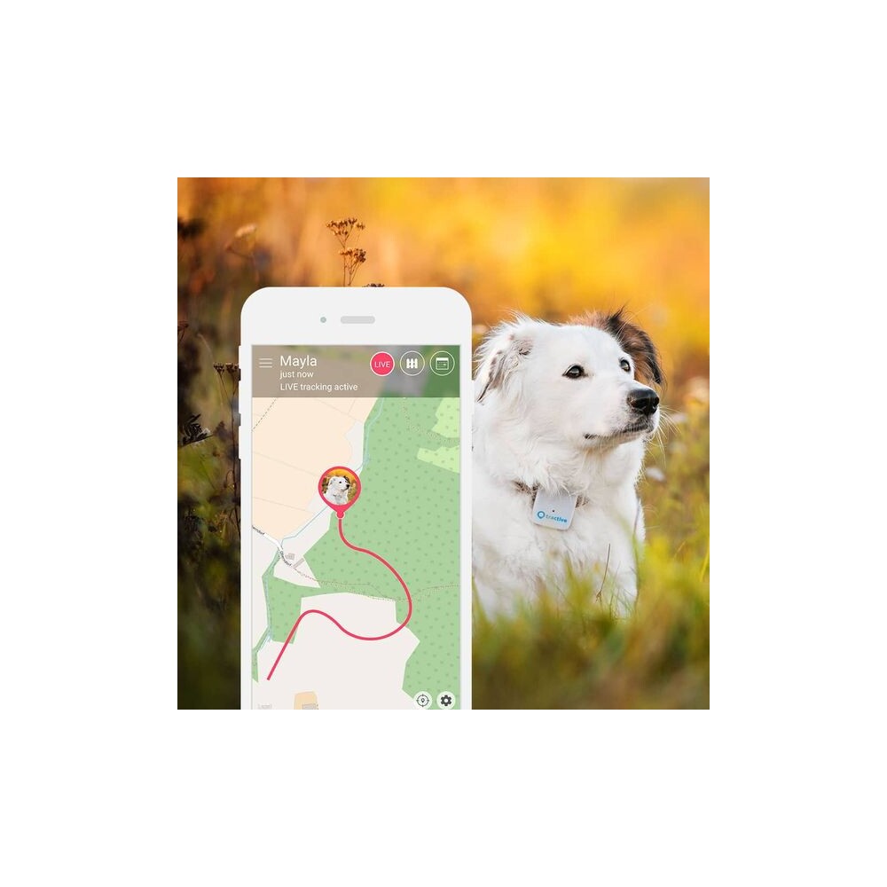Tractive-GPS-Tracker-pro-domaci-mazlicky