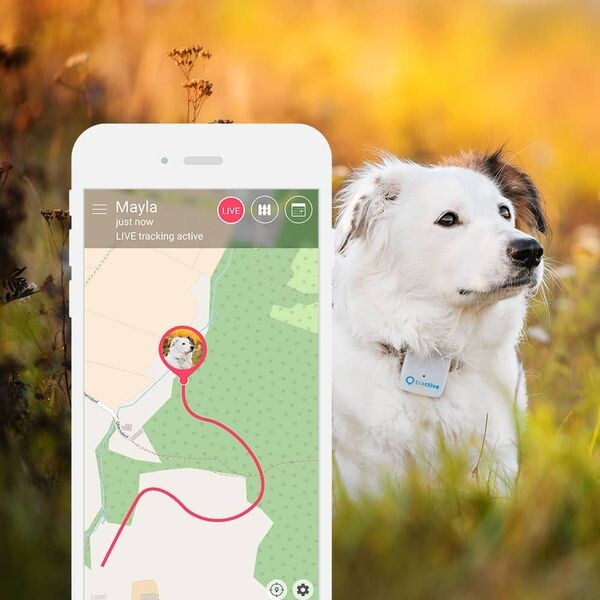 Tractive-GPS-Tracker-pro-domaci-mazlicky