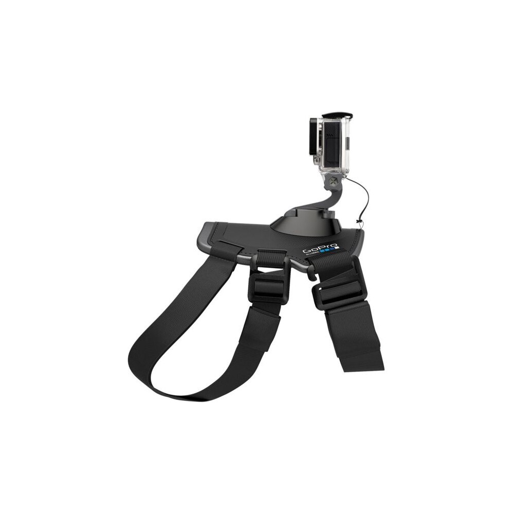 GoPro-Fetch-postroj-pro-psy
