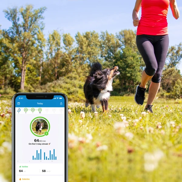 Tractive GPS DOG 4 tracker polohy a aktivity pro psy bílý - GPS moduly - Obrázek FVWK600301