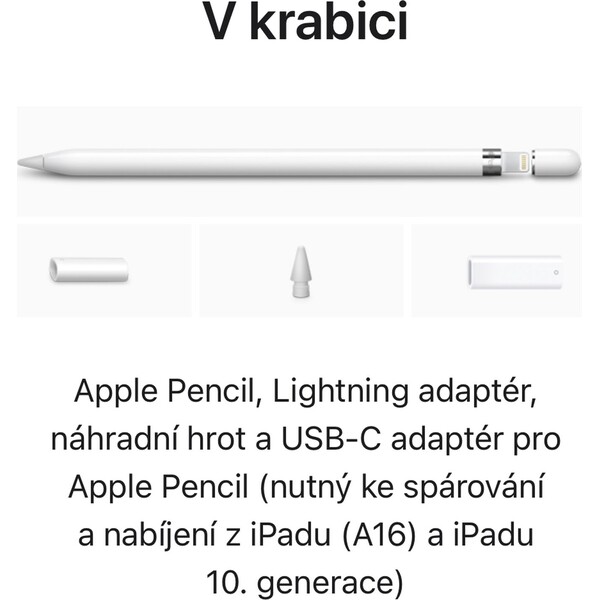 Apple-Pencil-tuzka-bila-s-USB-C-adapterem
