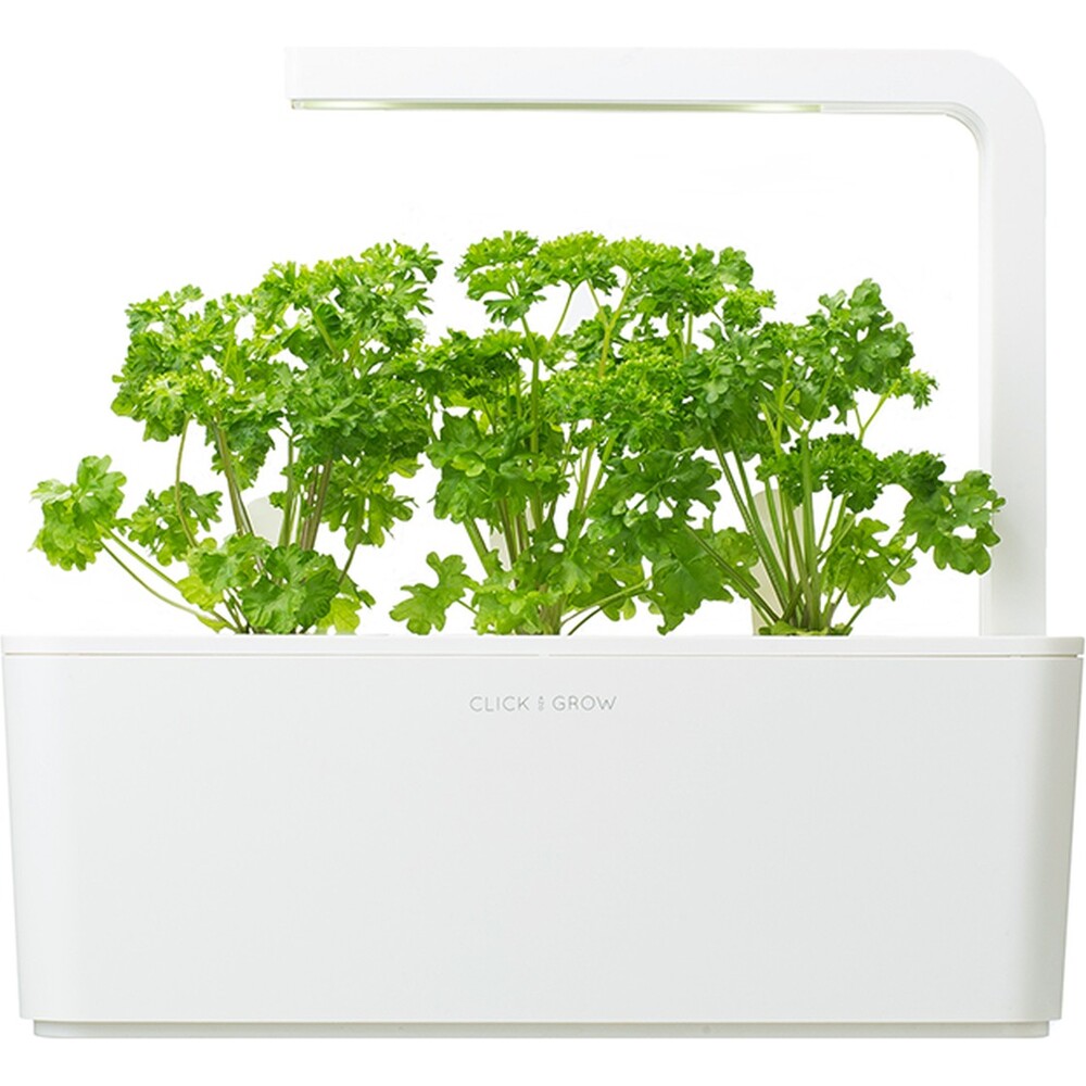 Click-and-Grow-petrzel-kapsle-se-seminky-a-substratem-3ks
