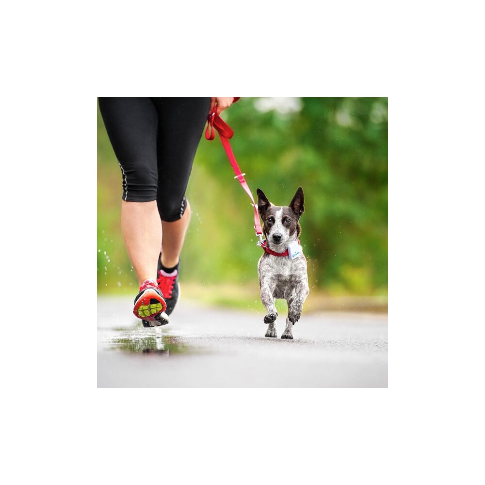 Tractive-GPS-Tracker-pro-domaci-mazlicky