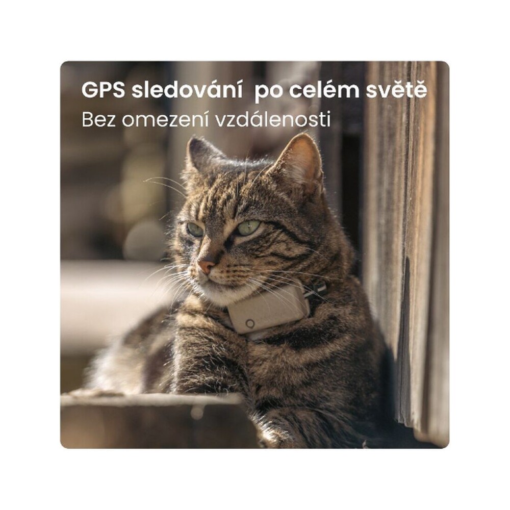 Tractive-GPS-CAT-Mini-tracker-polohy-a-aktivity-pro-kocky-hnedy