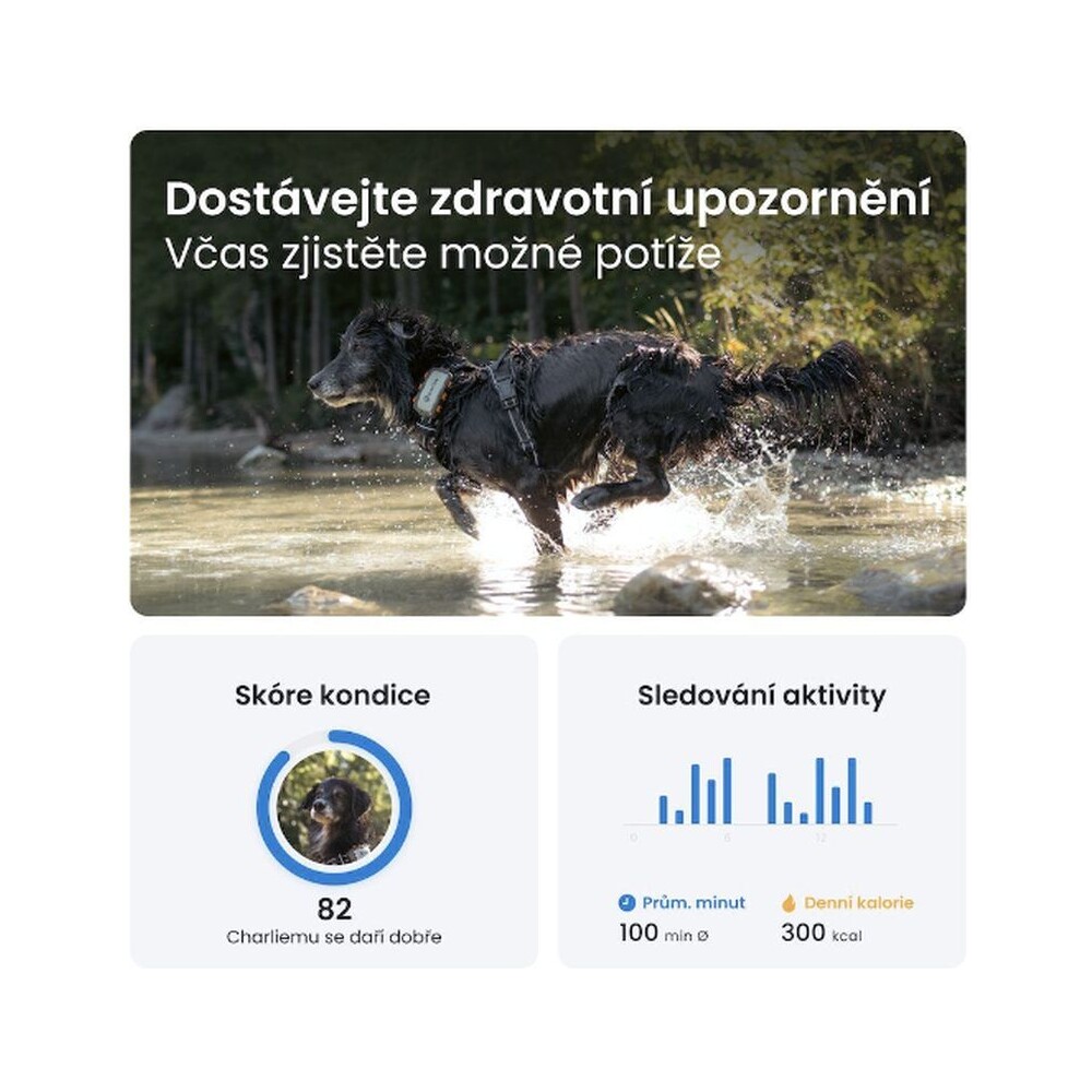 Tractive-GPS-DOG-XL-Adventure-Edition-tracker-polohy-a-aktivity-pro-psy