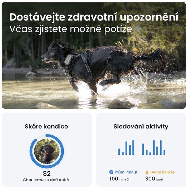 Tractive-GPS-DOG-XL-Adventure-Edition-tracker-polohy-a-aktivity-pro-psy
