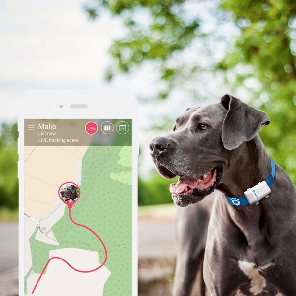 Tractive-GPS-Tracker-XL-pro-velke-psy