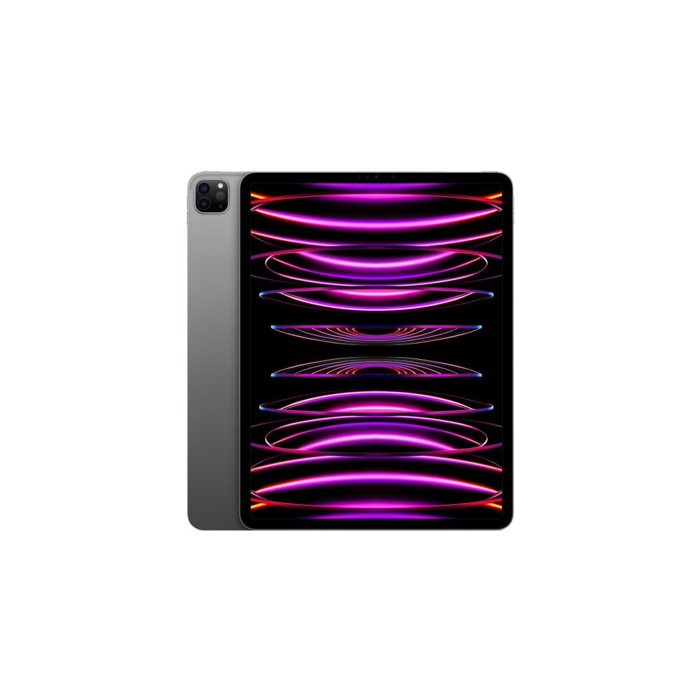 Apple-iPad-Pro-12-9-2022-512-GB-Wi-Fi-vesmirne-sedy