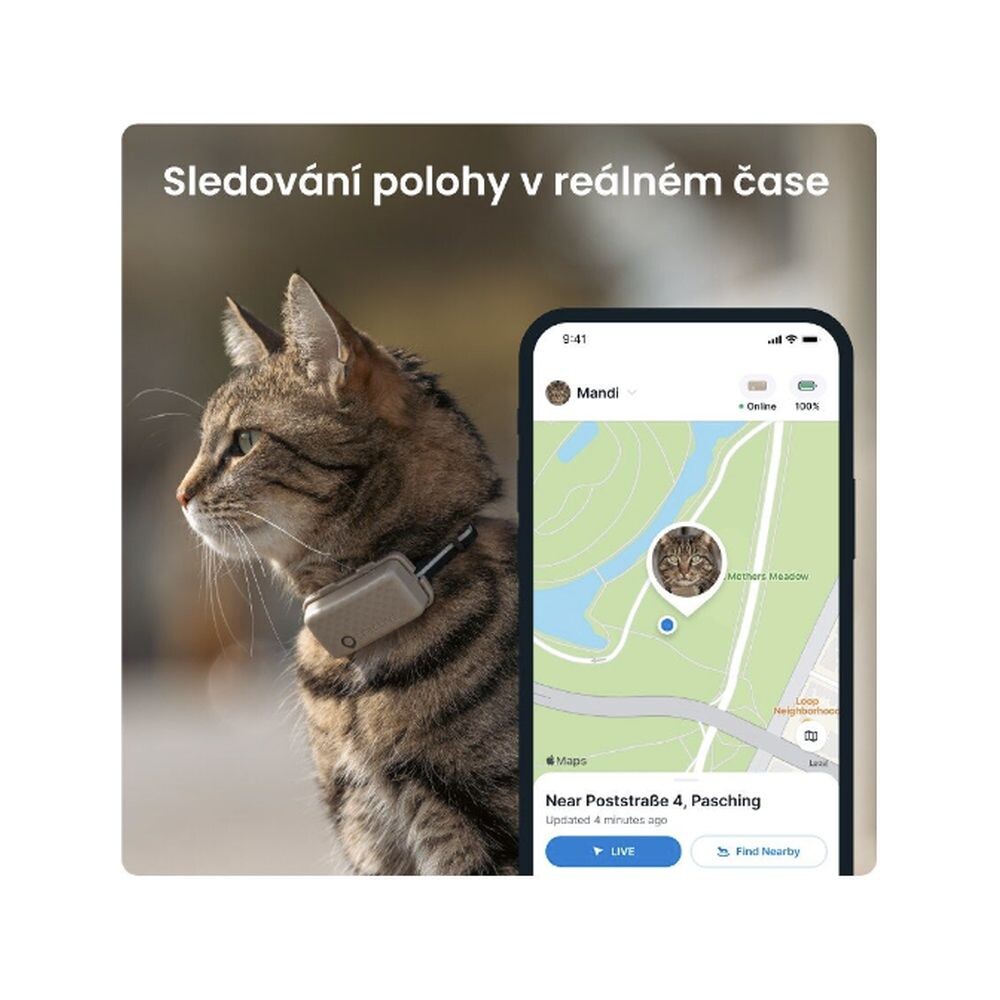Tractive-GPS-CAT-Mini-tracker-polohy-a-aktivity-pro-kocky-hnedy