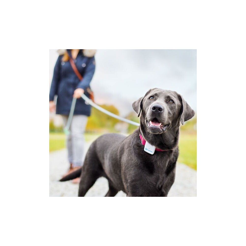 Tractive-GPS-Tracker-pro-domaci-mazlicky