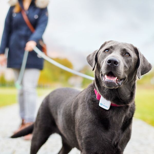 Tractive-GPS-Tracker-pro-domaci-mazlicky