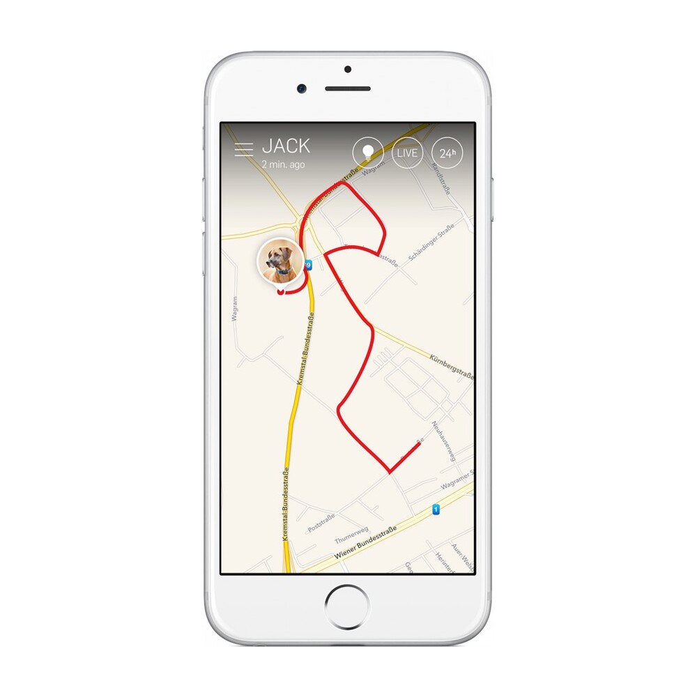 Tractive-GPS-Tracker-XL-pro-velke-psy