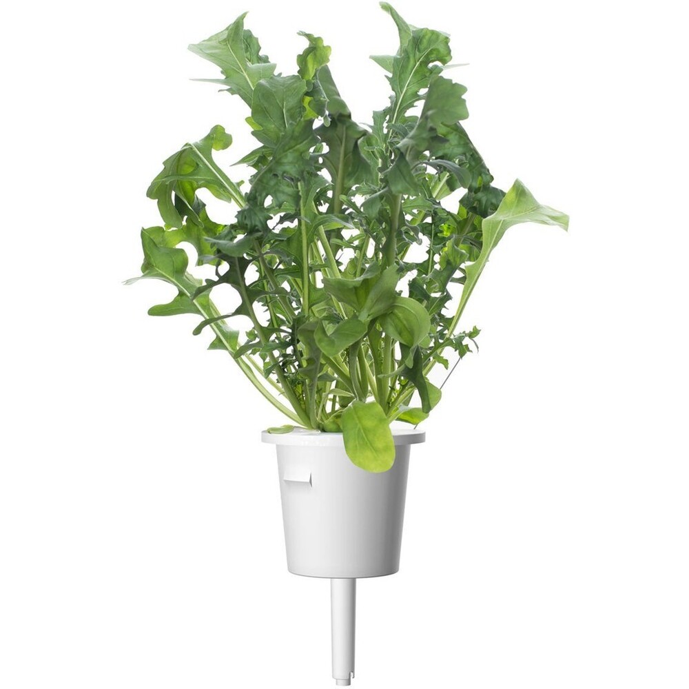 Click-and-Grow-rukola-kapsle-se-seminky-a-substratem-3ks