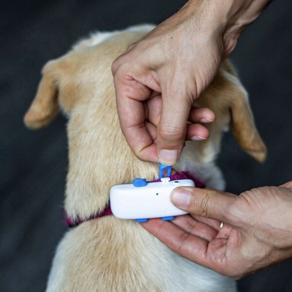 Tractive-GPS-DOG-4-nahradni-gumove-spony-3ks