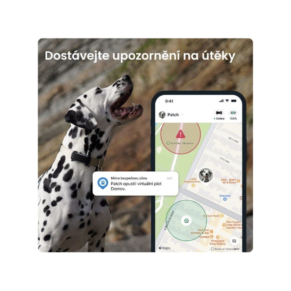Tractive-GPS-DOG-6-lokator-polohy-a-aktivity-pro-psy-cerny