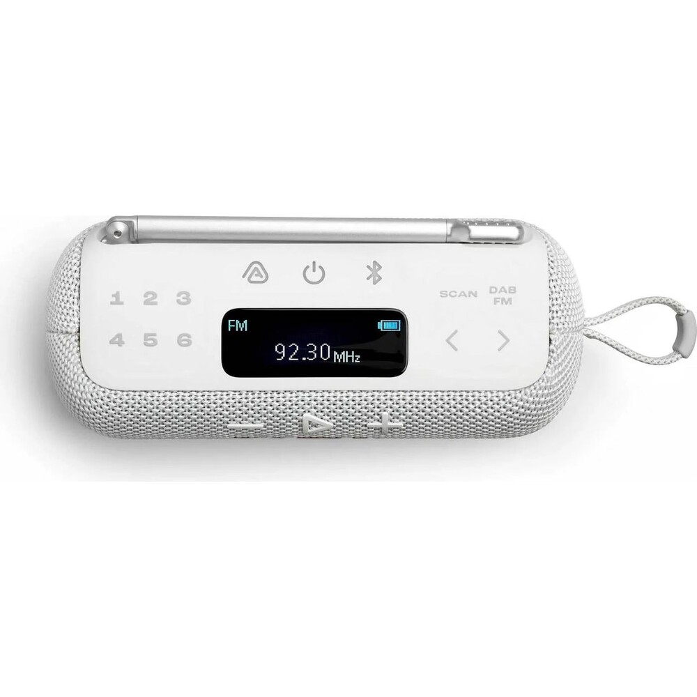 JBL-Tuner-3-bily