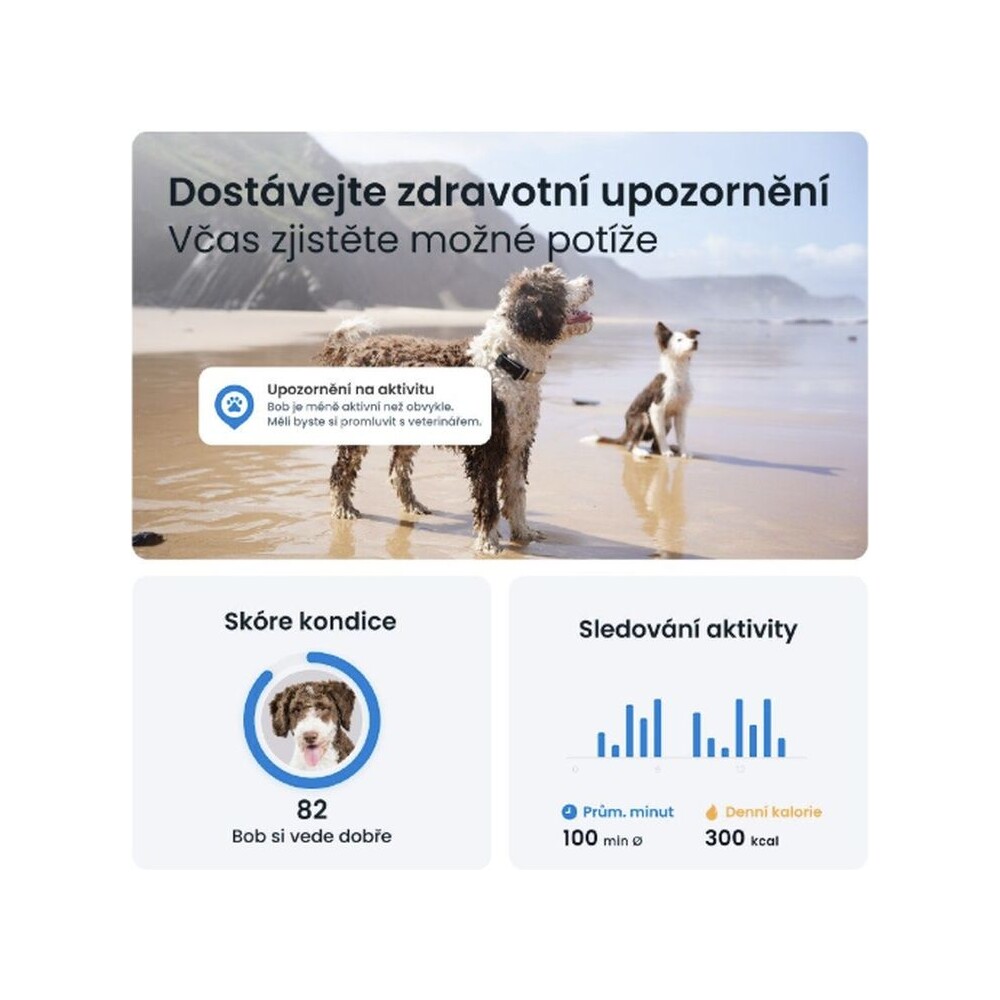 Tractive-GPS-DOG-6-lokator-polohy-a-aktivity-pro-psy-cerny