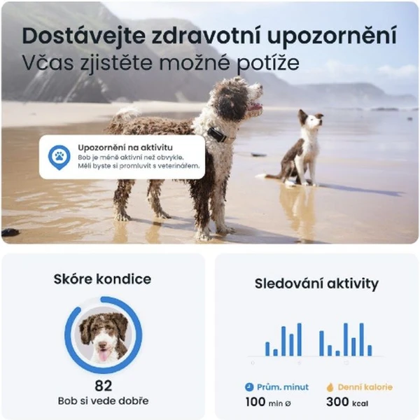 Tractive GPS DOG 6 lokátor polohy a aktivity pro psy černý - GPS moduly - Obrázek OBTD000L01