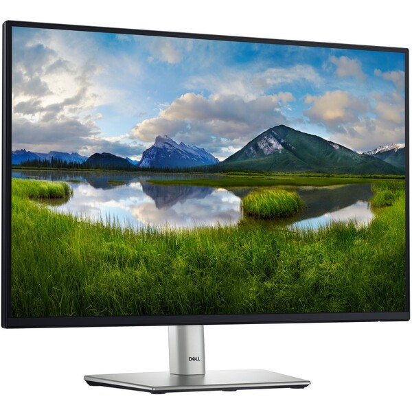 Dell-P2425-monitor-24-