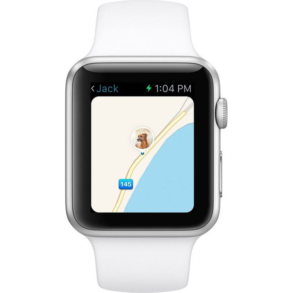Tractive-GPS-Tracker-XL-pro-velke-psy