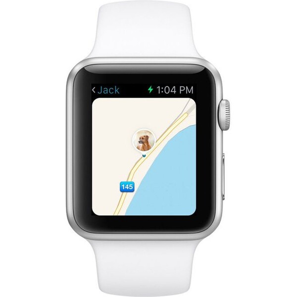Tractive-GPS-Tracker-XL-pro-velke-psy
