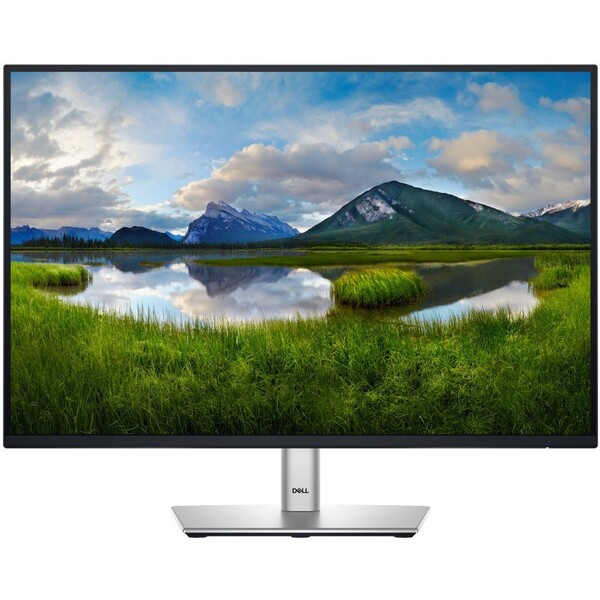 Dell-P2425-monitor-24-