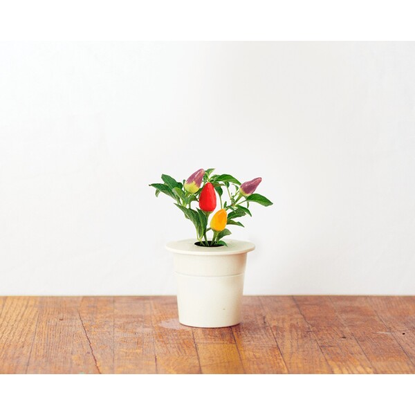 Click-and-Grow-chilli-papricky-kapsle-se-seminky-a-substratem-3ks