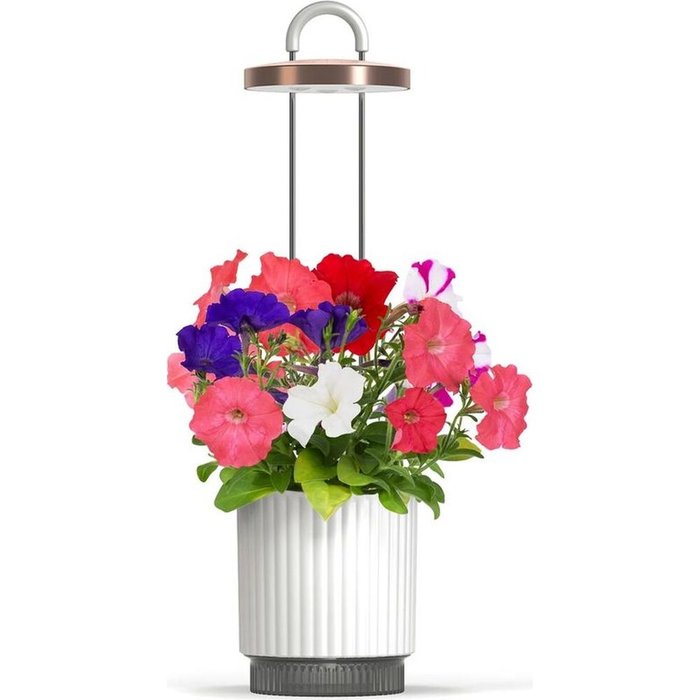 Click-and-Grow-Smart-Garden-1-HydroVase-by-Ermonix-chytry-kvetinac-bily