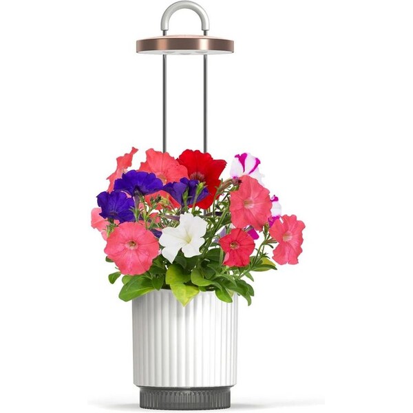 Click-and-Grow-Smart-Garden-1-HydroVase-by-Ermonix-chytry-kvetinac-bily